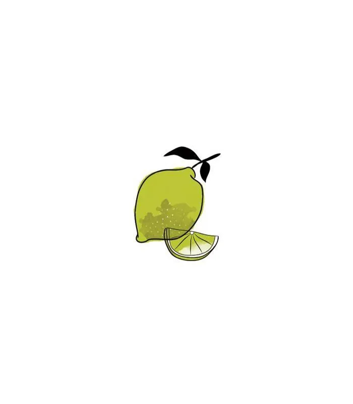 Paul & Pippa BIO Kekse - Limette